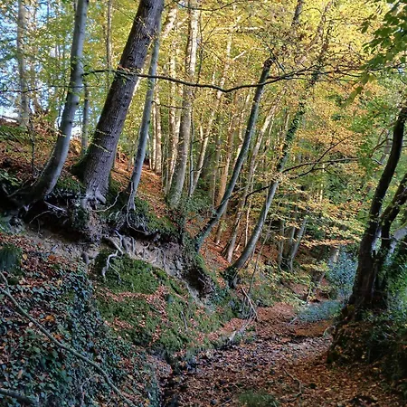 La Vieille Riviere * Genneville