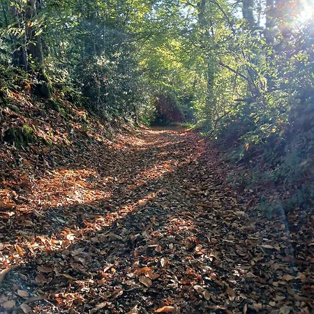 Feriehus La Vieille Riviere *