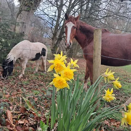 Feriehus La Vieille Riviere Genneville