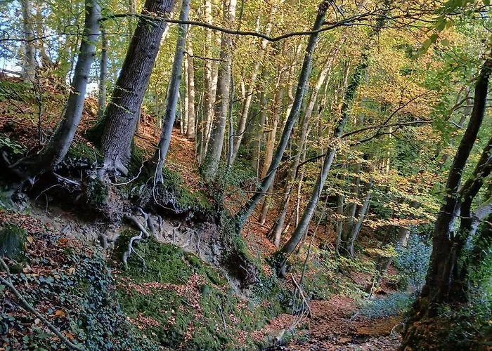 La Vieille Riviere * Genneville