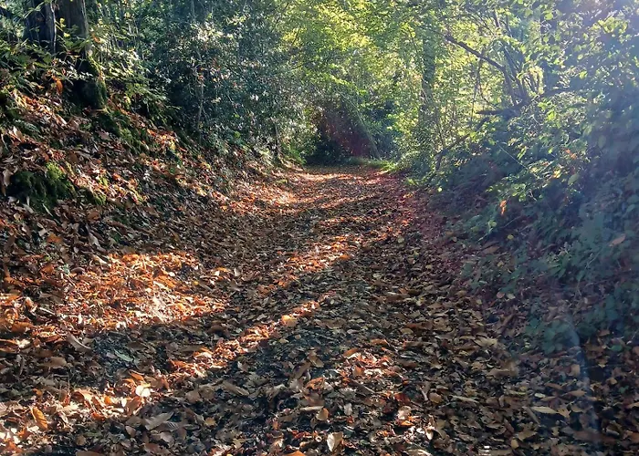 Дом отдыха La Vieille Riviere *