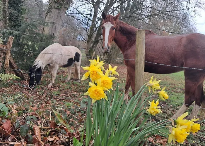 Holiday home La Vieille Riviere Genneville